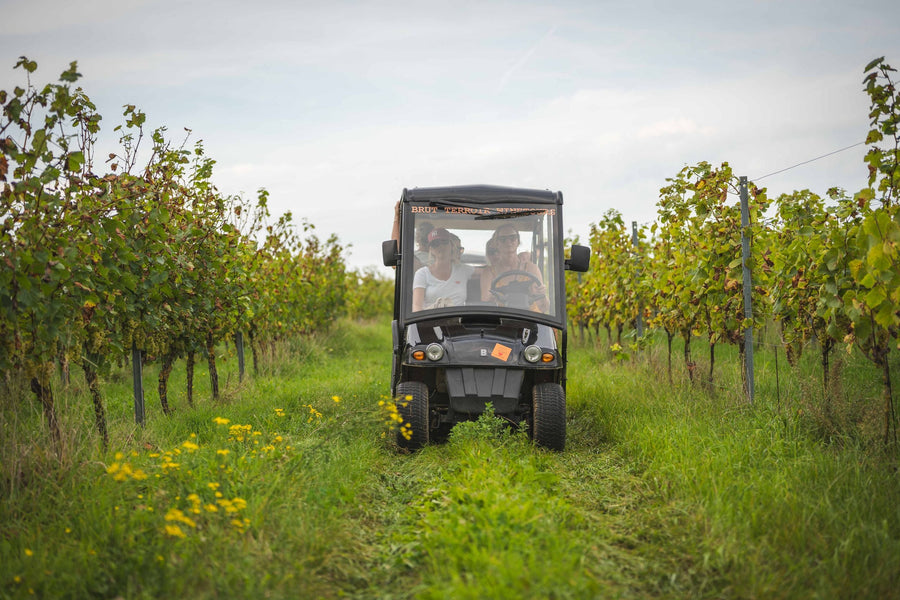 Wijntours | Ontdek de regio in een golfkar incl. lunch + fles Bilzamico - afbeelding 1
