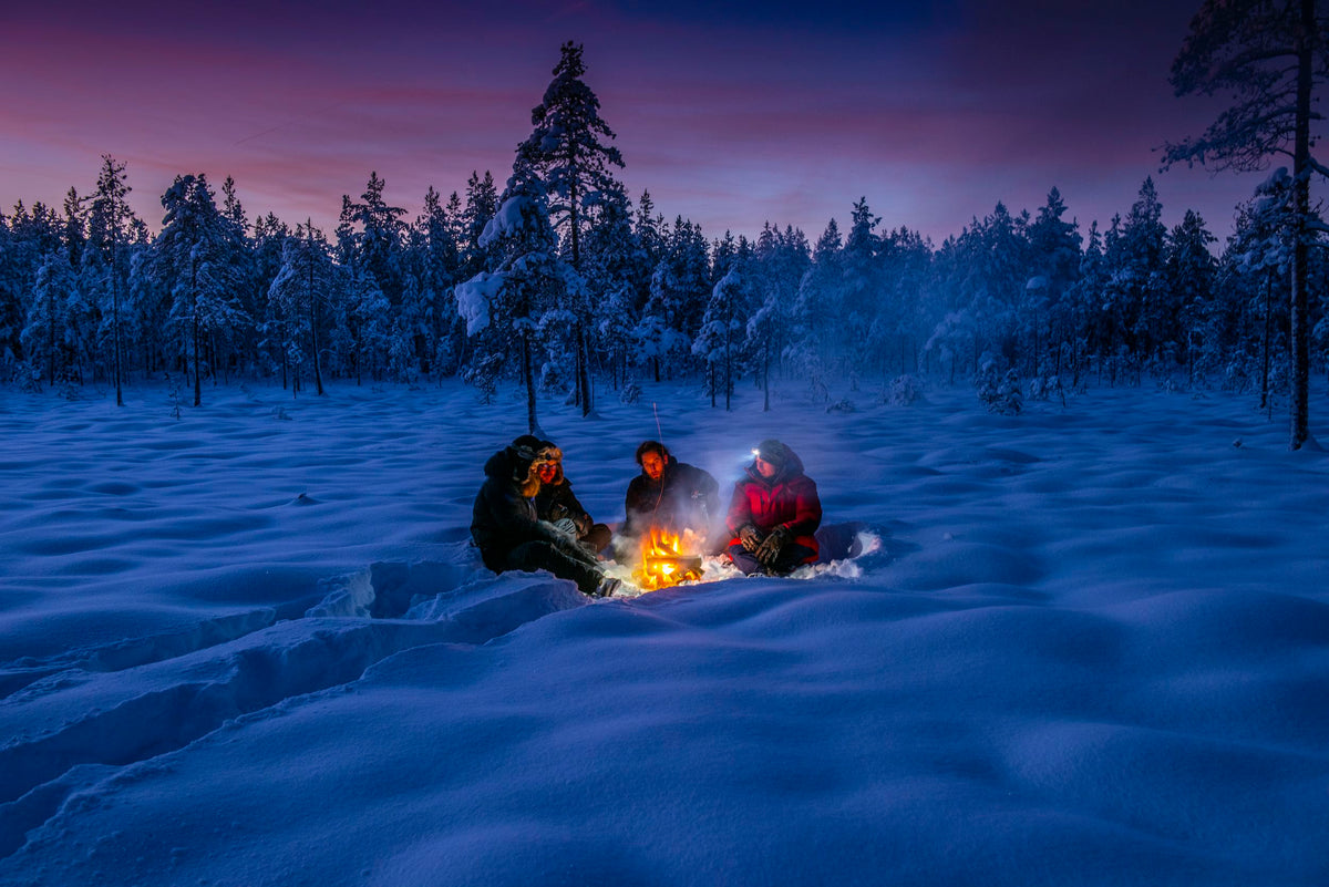 Lezersreis De Morgen - Puur Lapland met Nordic - afbeelding 3