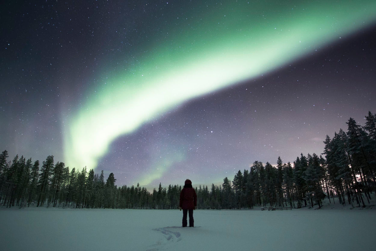 Lezersreis De Morgen - Puur Lapland met Nordic - afbeelding 7