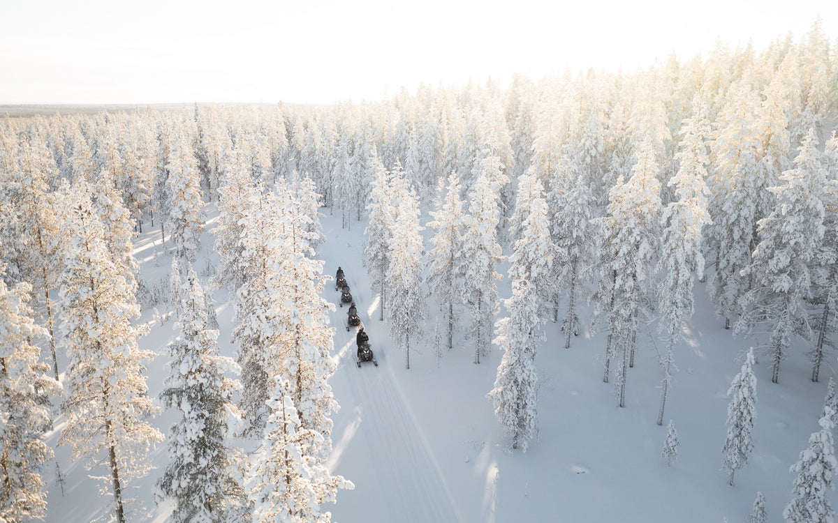 Lezersreis De Morgen - Puur Lapland met Nordic - afbeelding 8