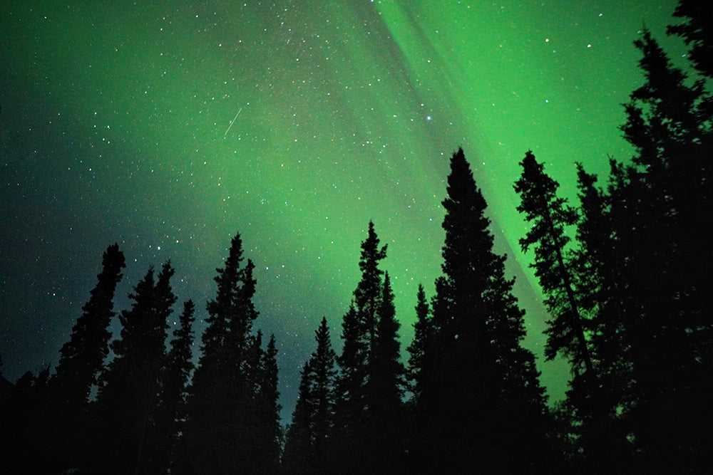 Lezersreis De Morgen - Puur Lapland met Nordic - afbeelding 10