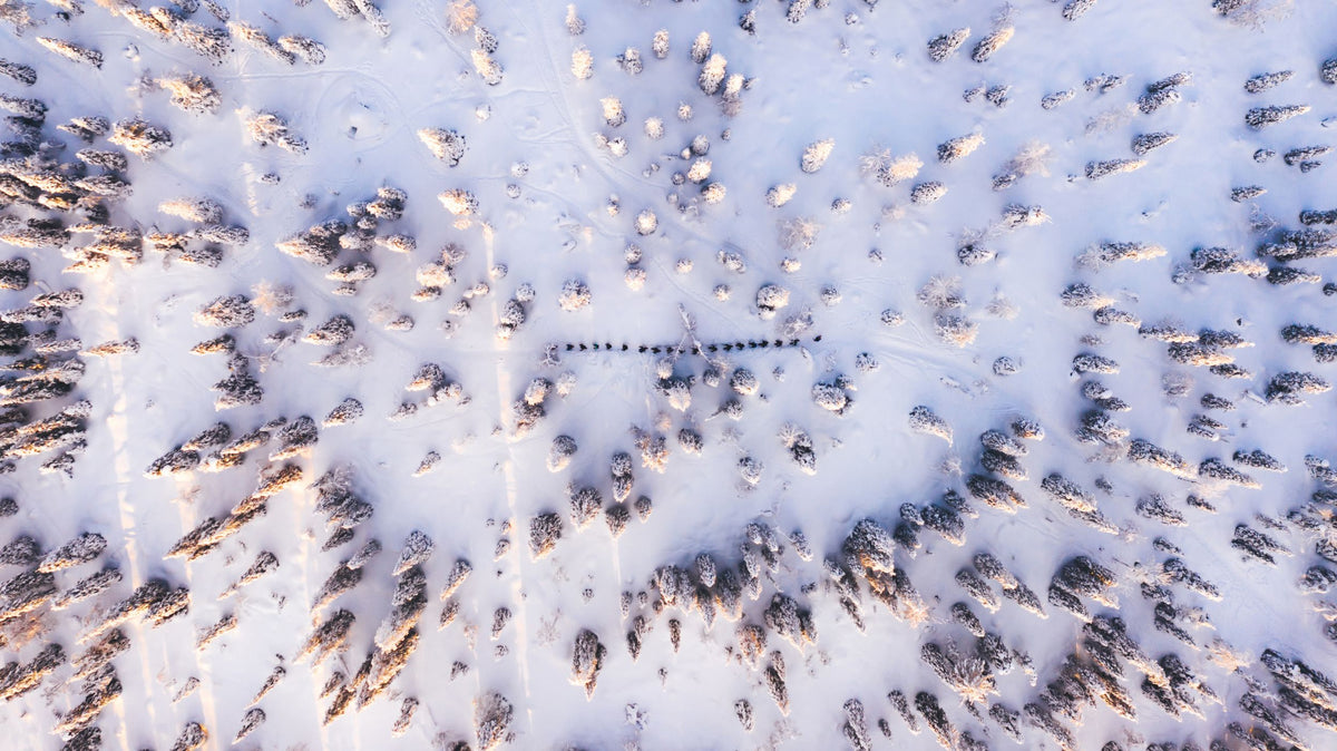 Lezersreis De Morgen - Puur Lapland met Nordic - afbeelding 11