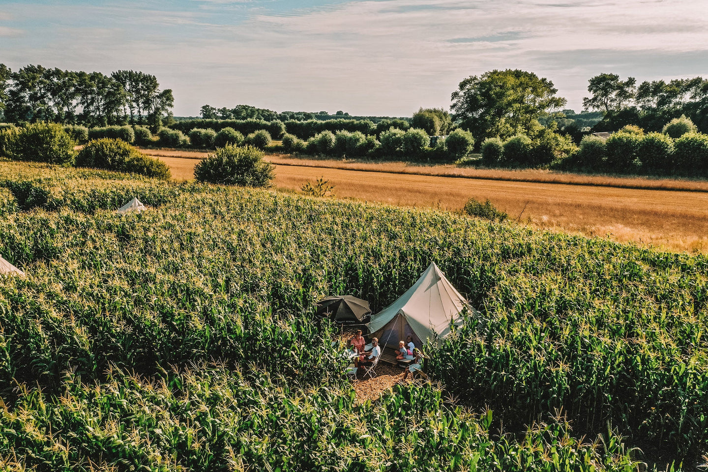 Maïsterplan - Overnachting in een glamping tent met ontbijt - afbeelding 1