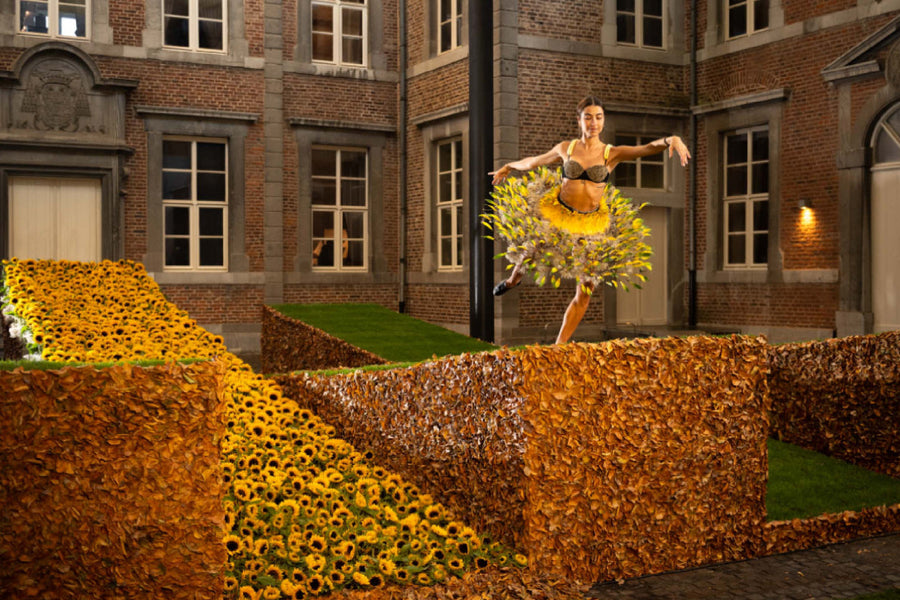 feerie-florale - afbeelding 1