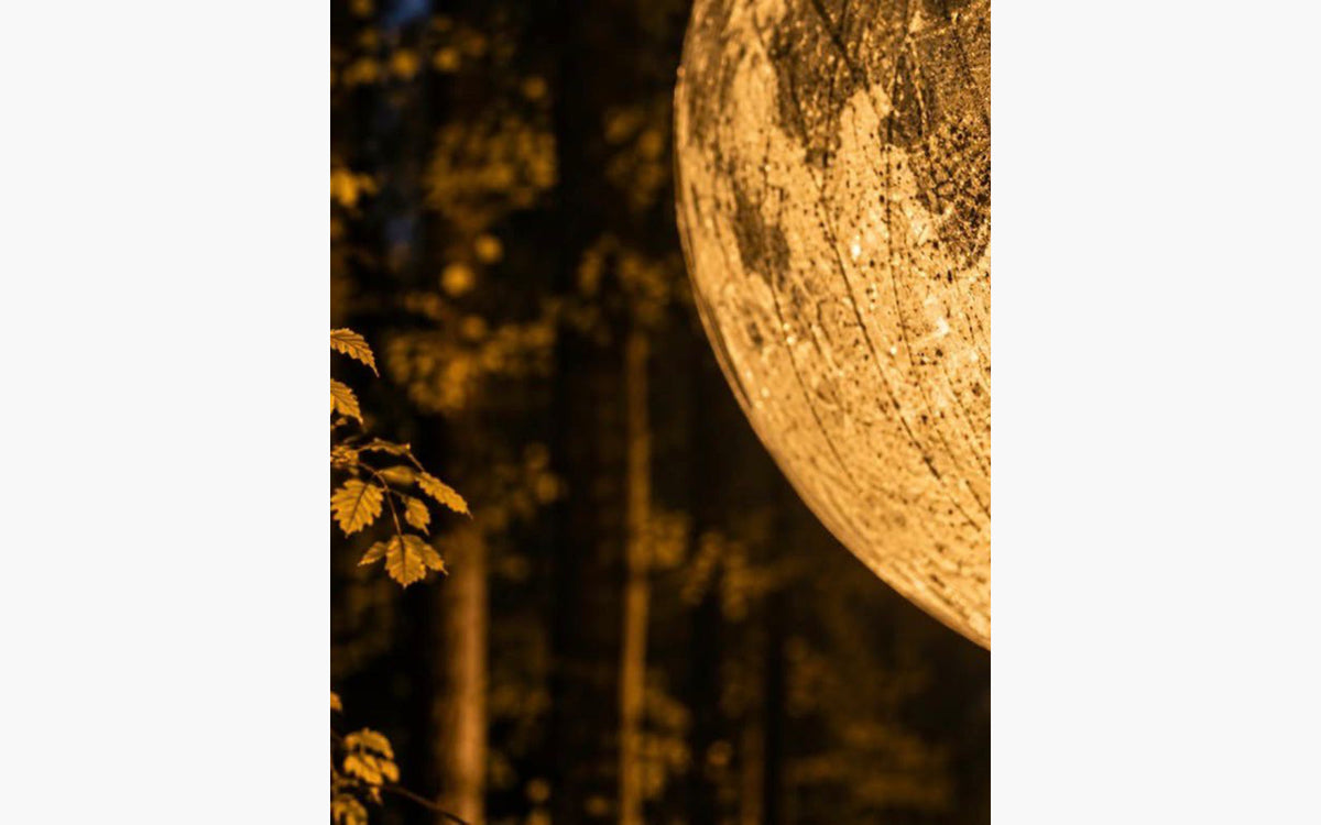 Luminara Lichtfestival @Merksplas Kolonie - afbeelding 2
