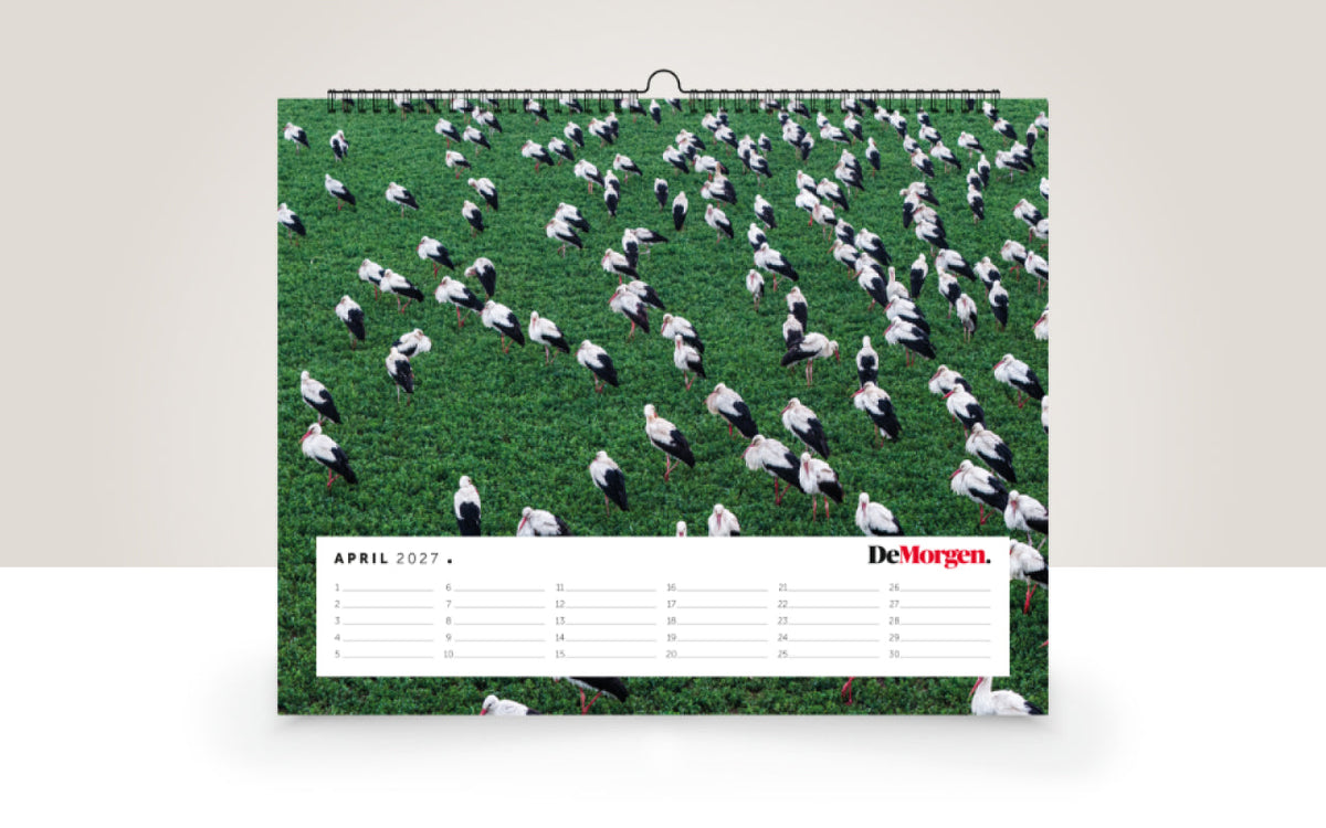 Foto jaarkalender 2027 - De Morgen - afbeelding 5