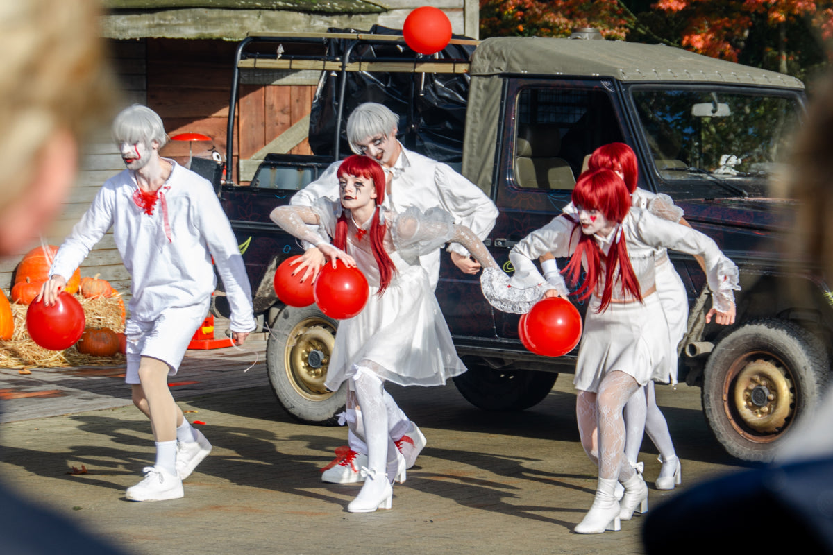 Bellewaerde Park - Halloween - afbeelding 3