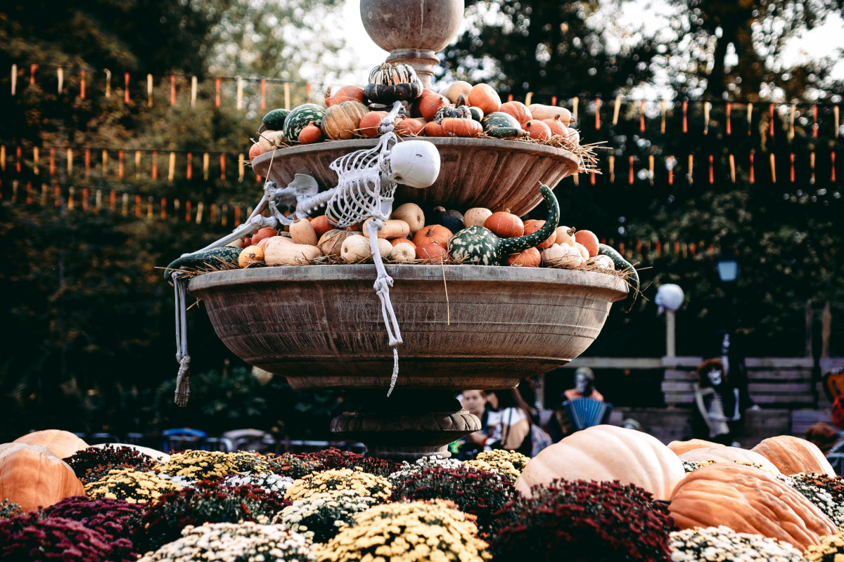 Bellewaerde Park - Halloween - afbeelding 2